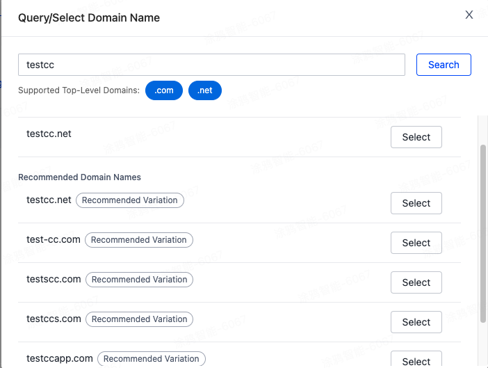 Custom Domain Name Service Description