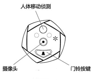 猫眼构造图图片