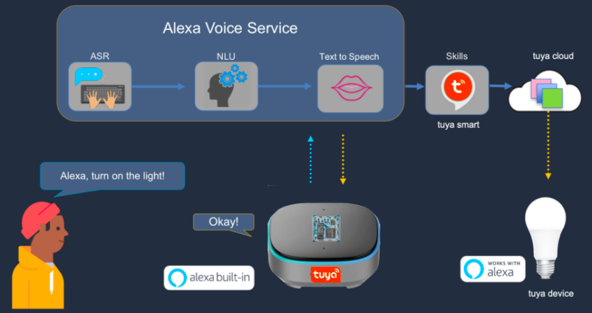 which amazon echo dot is the best